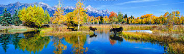 Autumn At the Pond 2003 Super Huge 1.5M Panorama - Thomas Mangelsen Autumn At the Pond 2003 Super Huge 1.5M Panorama - Thomas Mangelsen