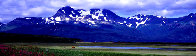 Glacier Travellers: Brown Bear  Huge 2M Panorama by Thomas Mangelsen - 0