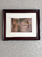 Limb - Female Cardinal 2003 Panorama by Thomas Mangelsen - 1 Limb - Female Cardinal 2003 Panorama by Thomas Mangelsen - 1