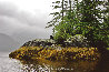 Guardian of Knight Inlet Panorama by Thomas Mangelsen - 0