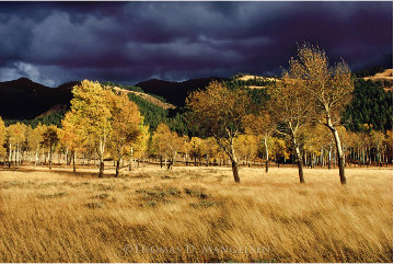 Winds of Change 2006 Panorama - Thomas Mangelsen Winds of Change 2006 Panorama - Thomas Mangelsen