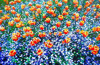 Edge of Spring, Tulips And Forget-Me-Nots Panorama by Thomas Mangelsen - 0