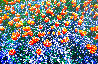 Edge of Spring, Tulips and Forget-Me-Nots Panorama by Thomas Mangelsen - 0