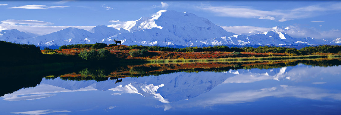 Reflections of Denali AP Panorama by Thomas Mangelsen