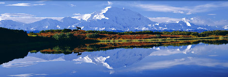 Reflections of Denali AP Panorama - Thomas Mangelsen