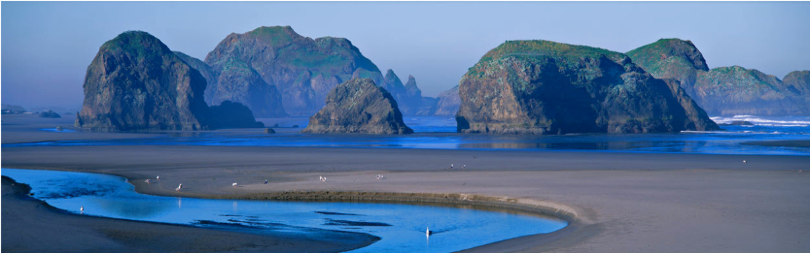 Keepers of the Ancient Coast (Oregon) Panorama by Thomas Mangelsen