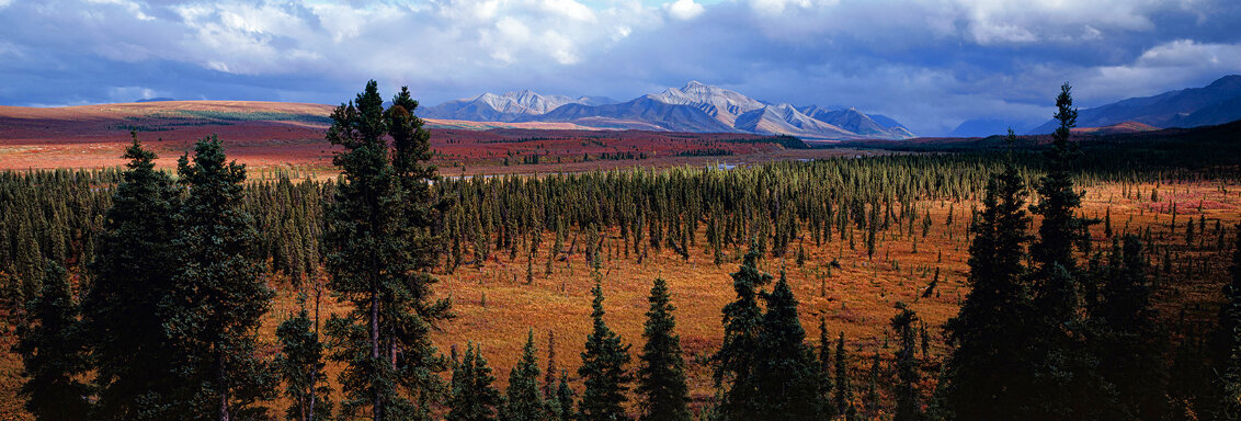 Season Passing 1993 -  Alaska Panorama by Thomas Mangelsen