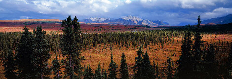 Season Passing 1993 -  Alaska Panorama - Thomas Mangelsen