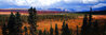 Season Passing AP - Huge Mural Size 29x75  - Alaska Panorama by Thomas Mangelsen - 0