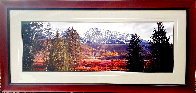 Last Days of Fall 2000 1M  Panorama by Thomas Mangelsen - 1