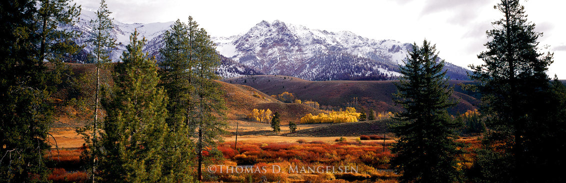 Last Days of Fall 2000 1.4M - Huge - Sun Valley, Idaho Panorama by Thomas Mangelsen