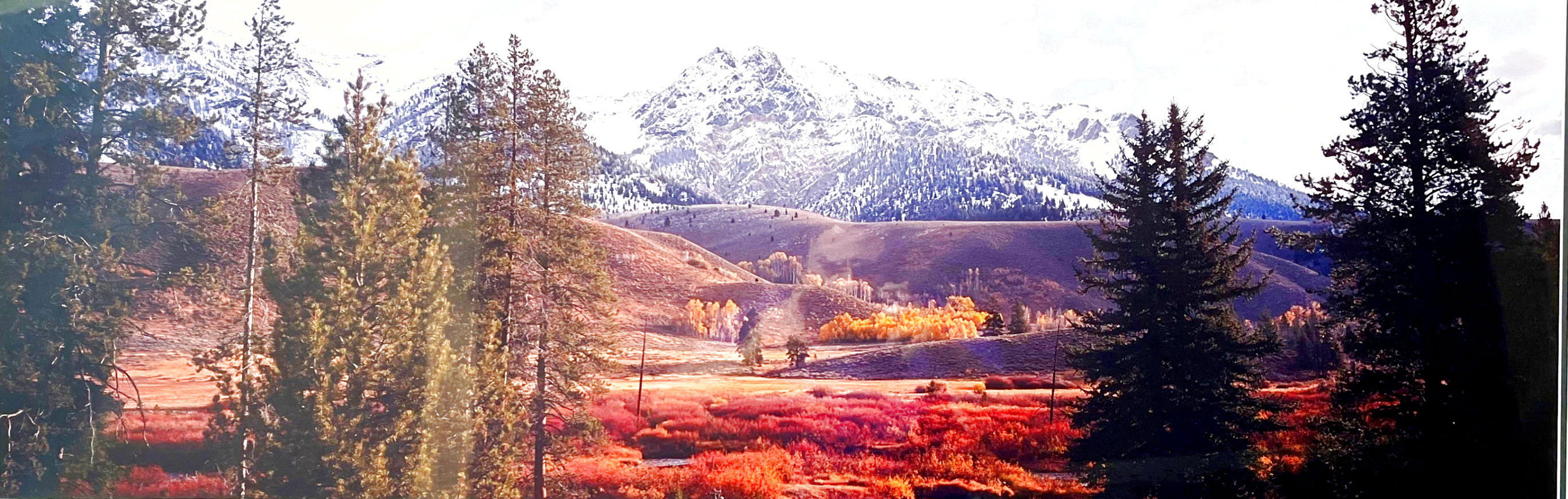Last Days of Fall 2000 1M  Panorama by Thomas Mangelsen
