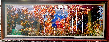 Autumn Awakening 2004 2M Huge Panorama - Thomas Mangelsen Autumn Awakening 2004 2M Huge Panorama - Thomas Mangelsen