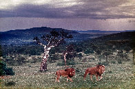 Before the Storm 1989 Panorama by Thomas Mangelsen - 1
