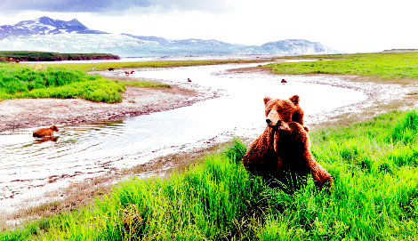 Bear River - Alaska Panorama - Thomas Mangelsen