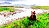Bear River - Alaska Panorama by Thomas Mangelsen - 0