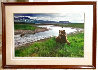 Bear River - Alaska Panorama by Thomas Mangelsen - 1