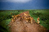 Changing Lanes 1M - Huge - Tanzania Panorama by Thomas Mangelsen - 0