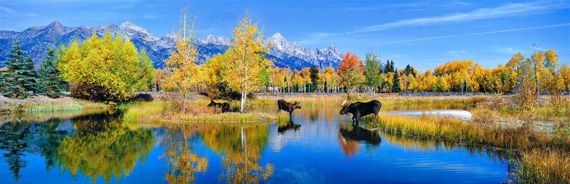 Autumn at the Pond 1.4M - Huge - Wyoming Limited Edition Print by Thomas Mangelsen