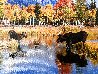 Autumn at the Pond 1.4M - Huge - Wyoming Limited Edition Print by Thomas Mangelsen - 2