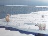Gathering At Cape Churchill -  Hudson Bay, Manitoba, Canada - Blackwood Frame Panorama by Thomas Mangelsen - 3