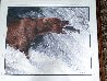 Catch of the Day 1988 - Alaska Panorama by Thomas Mangelsen - 3