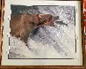 Catch of the Day 1988 - Alaska Panorama by Thomas Mangelsen - 2