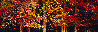 Color of the Smokies 1.7M - Huge - Tennessee - Walnut Frame Panorama by Thomas Mangelsen - 0
