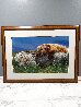 Lifes a Bear 2003 - Huge - Alaska Panorama by Thomas Mangelsen - 2