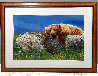 Lifes a Bear 2003 - Huge - Alaska Panorama by Thomas Mangelsen - 1