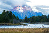 First Light: Elk 2014 - Huge - Grand Teton NP, Wyoming Panorama by Thomas Mangelsen - 0