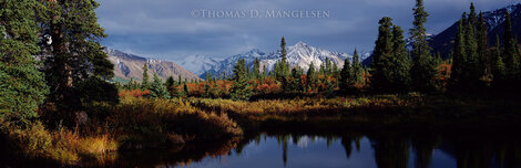 Alpine Reflections - Huge - Denali NP, Alaska Panorama - Thomas Mangelsen