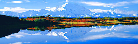 Reflections of Denali - Alaska Panorama - Thomas Mangelsen