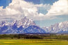 Summer Pastures - Huge Mural Size - Grand Teton NP, Wyoming - 31x76 Panorama by Thomas Mangelsen - 2