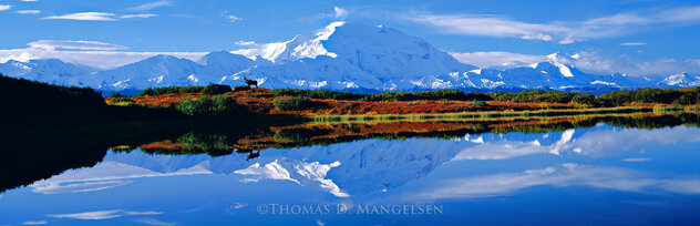 Reflections of Denali - Huge Mural Size Alaska - 31x76 by Thomas Mangelsen