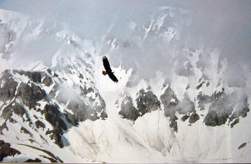 Among the Glaciers Panorama - Thomas Mangelsen Among the Glaciers Panorama - Thomas Mangelsen