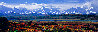 September Snows 2009 2M - Huge Mural Size - Alaska Panorama by Thomas Mangelsen - 0