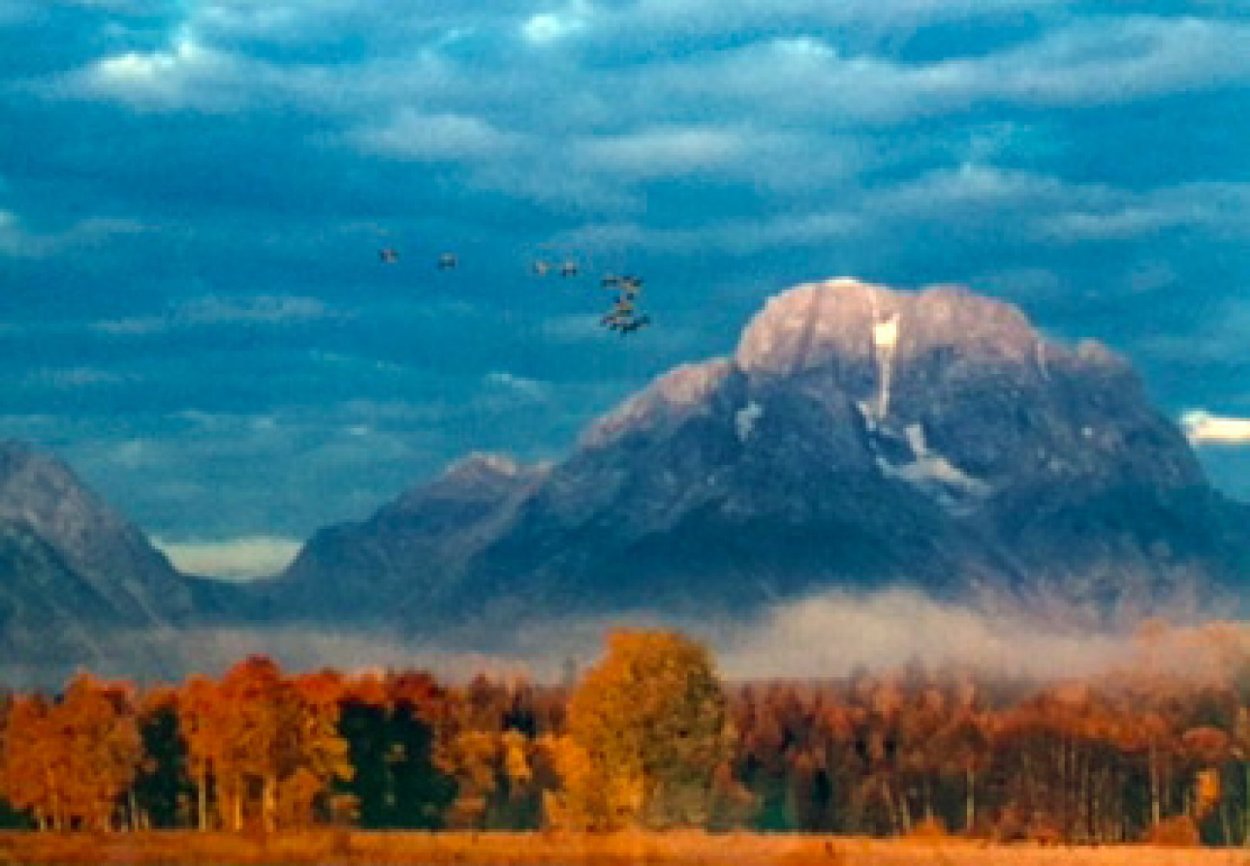 Changing Seasons Panorama by Thomas Mangelsen Changing Seasons Panorama by Thomas Mangelsen