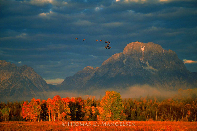 Changing Seasons - Wyoming Panorama by Thomas Mangelsen
