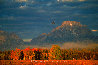Changing Seasons - Wyoming Panorama by Thomas Mangelsen - 0