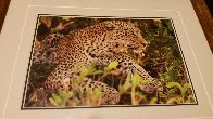 Eye of the  Leopard  Panorama by Thomas Mangelsen - 1
