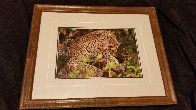 Eye of the Leopard Panorama by Thomas Mangelsen - 5 Eye of the Leopard Panorama by Thomas Mangelsen - 5