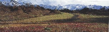 After the Ice Age (Grizzly Bear 2M) Huge (Yellowstone) Panorama - Thomas Mangelsen After the Ice Age (Grizzly Bear 2M) Huge (Yellowstone) Panorama - Thomas Mangelsen