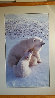 Mother's Love (Polar Bear) Huge Panorama by Thomas Mangelsen - 1