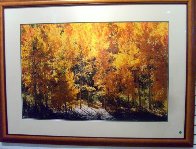Fire of Autumn Panorama by Thomas Mangelsen - 1 Fire of Autumn Panorama by Thomas Mangelsen - 1