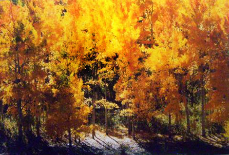 Fire of Autumn Panorama - Thomas Mangelsen