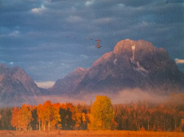 Changing Seasons Panorama - Thomas Mangelsen Changing Seasons Panorama - Thomas Mangelsen