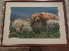 Life's a Bear Panorama by Thomas Mangelsen - 1 Life's a Bear Panorama by Thomas Mangelsen - 1