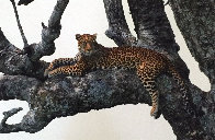 Shades of Sapphire - Leopard Panorama by Thomas Mangelsen - 0 Shades of Sapphire - Leopard Panorama by Thomas Mangelsen - 0