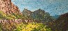 Zion Valley Sunset 2020 22x48 Huge - Utah Original Painting by Joel Mara - 1
